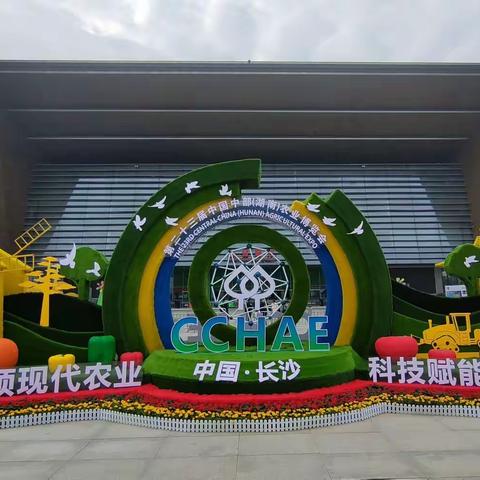 美好生活“潮”这看！金健好粮油点“靓”中部农博会