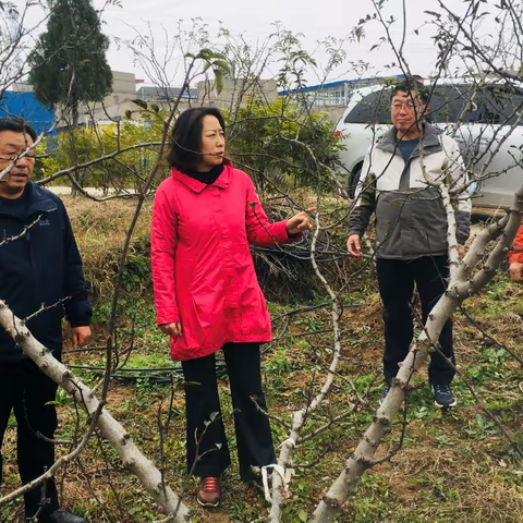 铜川市气象局深入帮扶村开展入户走访活动