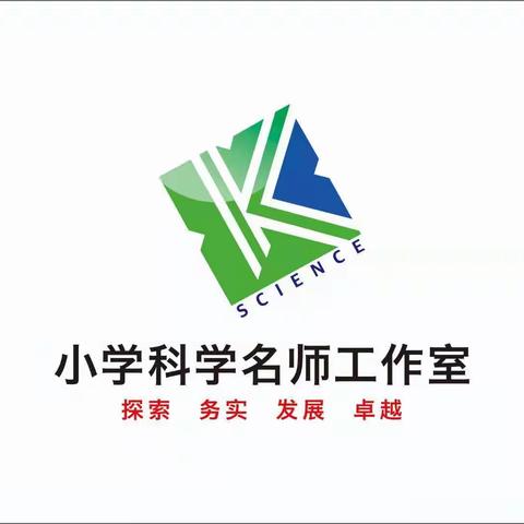 由心开始、从新出发—滨城区小学科学“大单元教学”培训活动暨科学名师工作室会议纪实