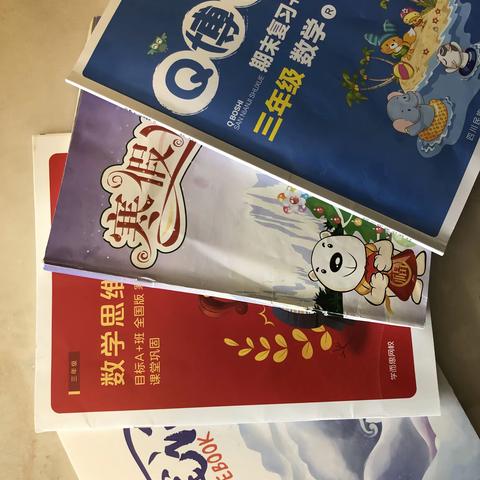 在学习中进步 在抗疫中成长——记我的寒假生活（胡珈铭）