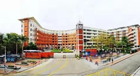 不负韶华 牢记教育使命                                      深度学习 练就专业成长