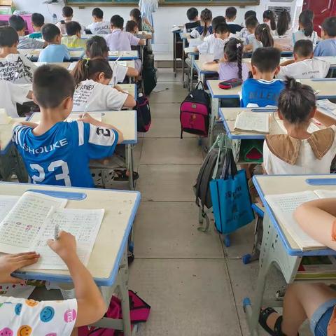 快乐暑假，“语”你同行——汝州市朝阳小学教育集团三年级语文组暑期托管成果展（第三周）