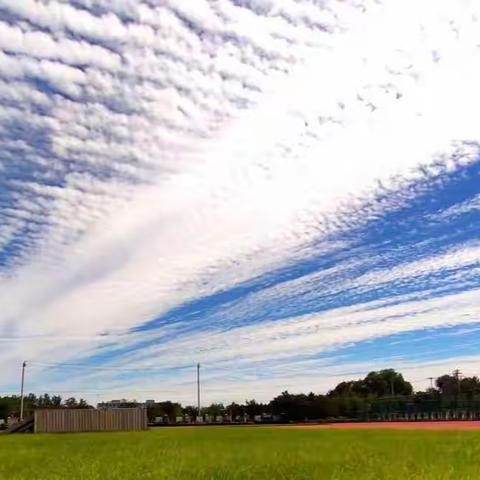 交流•启慧•启航  —宋庄镇中心小学新学期教学主任、镇教研组长工作会