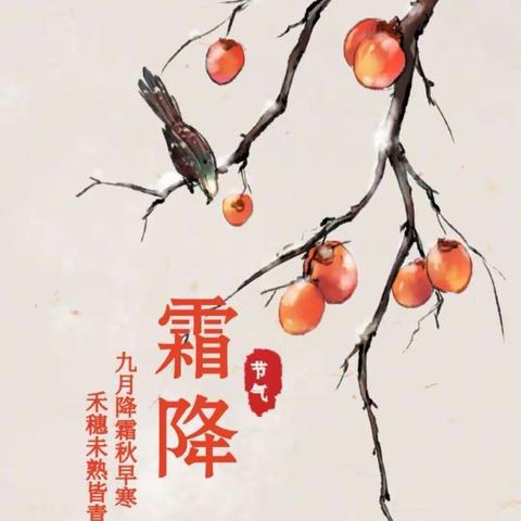 “霜降冬将至，美好正当时”—白云二十八幼“霜降”节气主题活动