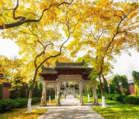 霜染丹枫娇欲滴，露凝金菊笑无休。