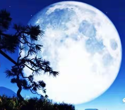 丹桂飘香盈碧天，欣逢人月两团圆。