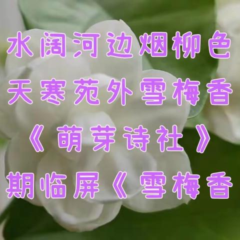 水阔河边烟柳色 天寒苑外雪梅香