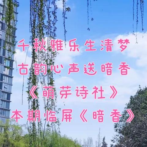 千秋雅乐生清梦 古韵心声送暗香