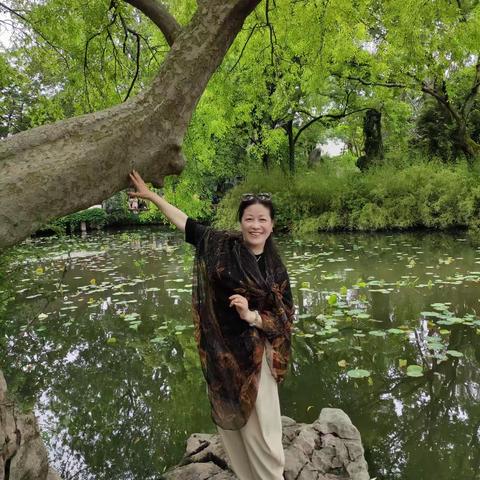 葵卯兔年丁巳月习作