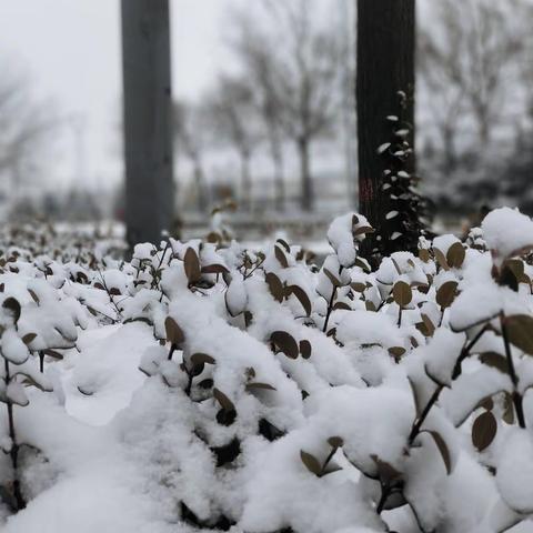 2023年雪景