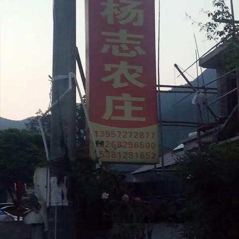 安吉竹博园