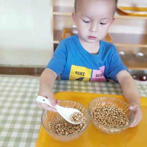 正阳县育德幼儿园蒙特梭利教育成果之——独立性