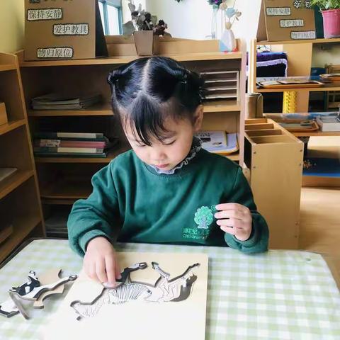 正阳县育德幼儿园蒙特梭利教育成果之——专注力
