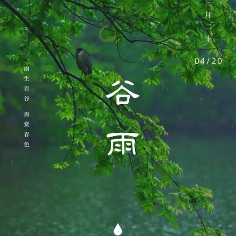 【文化·传承】龙泉街道中心小学“博爱”系列校本课程【走四季·知节气】——风雨伴春长，谷雨日丽光
