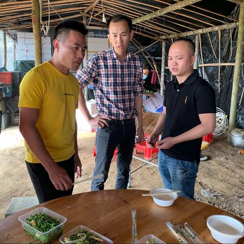 陵烹餐酒协会胡仕光一行前来本号镇田心龙须菜种植基地参观考察