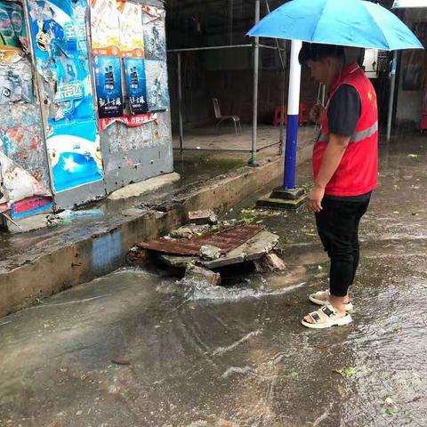 台风来临   携手共筑