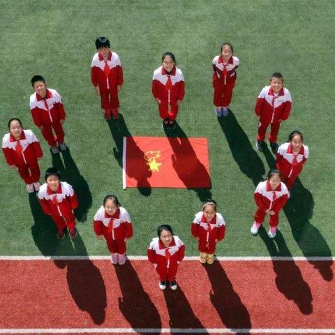 向阳花开 绽放新时代