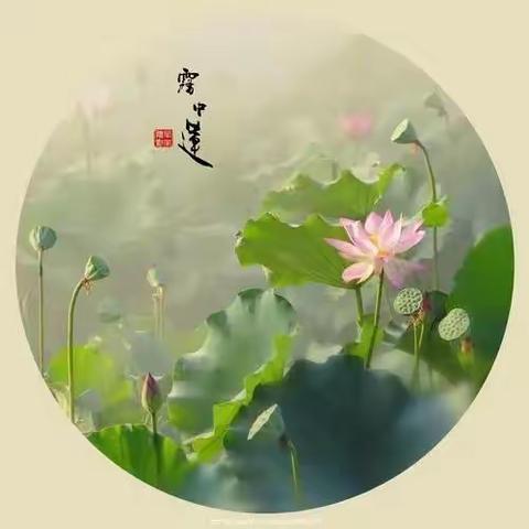 养莲记
