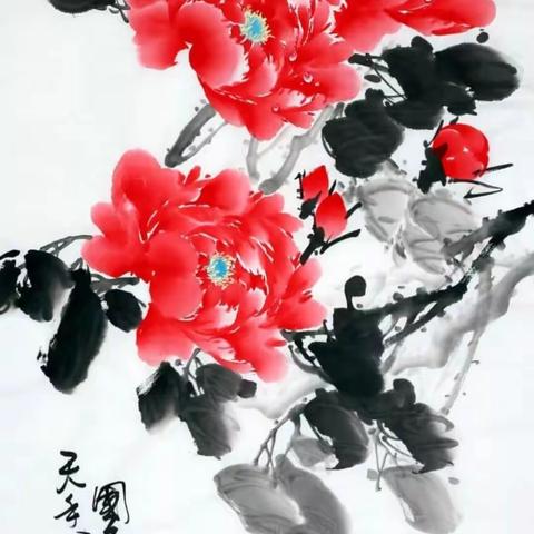 赵明渊露珠红牡丹欣赏