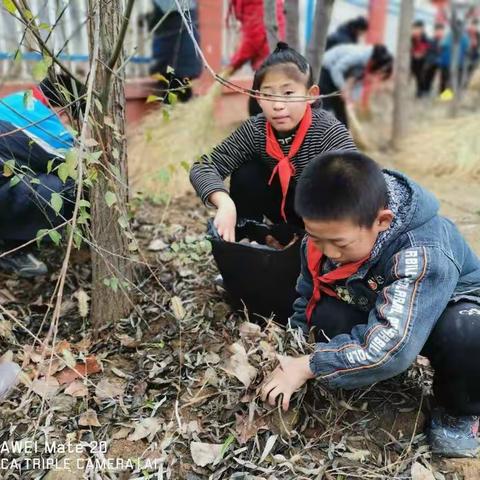 文明校园 | 谷疃小学“校园环境秩序整治 我们在行动”