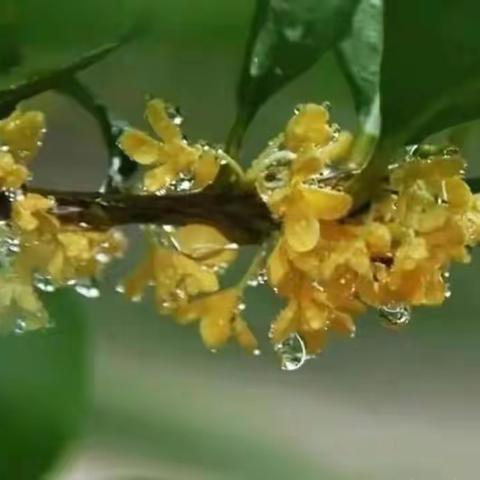 绿树阴浓夏日长，骐骥少年心飞扬－－我的学生我的班之暑假生活（四）