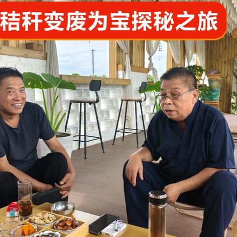 探秘秸秆变废为宝之旅 —— 祖庵镇石佛寺村一日游记 作者：魏玮 2025年7月5日