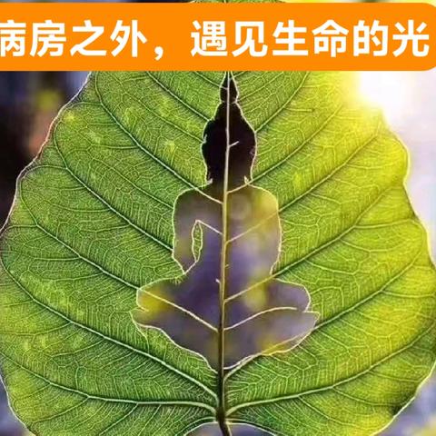 病房之外，遇见生命的光，作者：魏玮，2025年9月13日晚