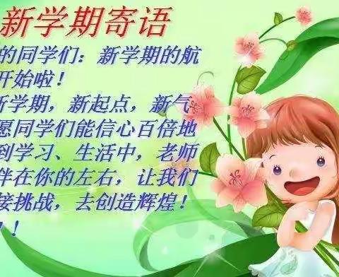 蔡村小学开学安全第一课