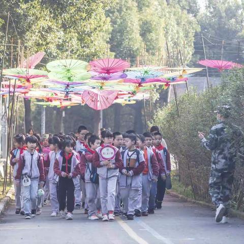 与秋天拥抱，和阳光同行——溧水区实验小学（中）三年级社会实践活动