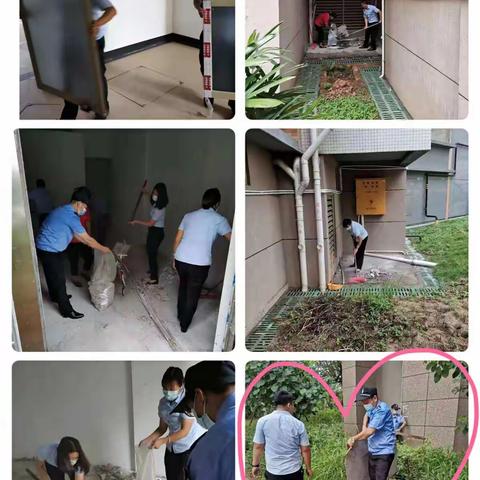 君御海城2021年6月工作简报