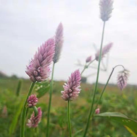 孩子对未来的规划