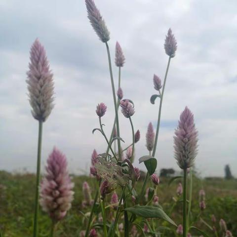 生活，就是扛……