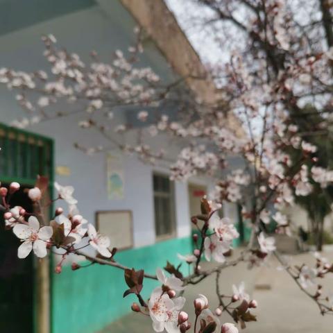 传承雷锋精神，播撒爱的火种——江左镇刘村小学“雷锋日”活动纪实