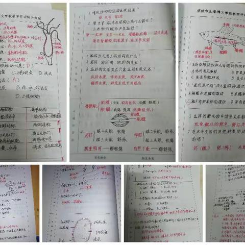 落实常规促提升，作业教案细检查——八年级开展常规业务检查活动