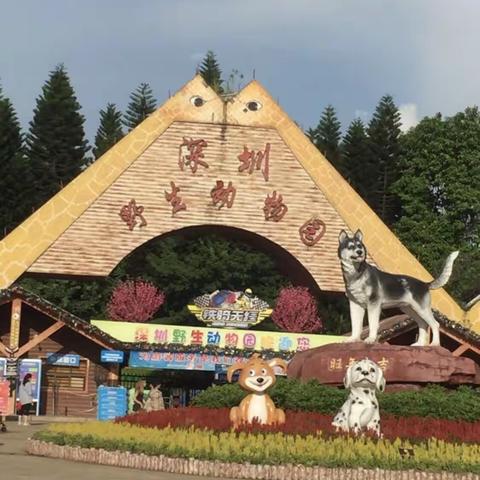 秋游游——深圳野生动物园