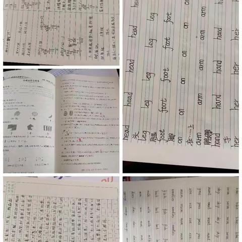 以梦为马，不负韶华-第五实验小学三一班寒假作业