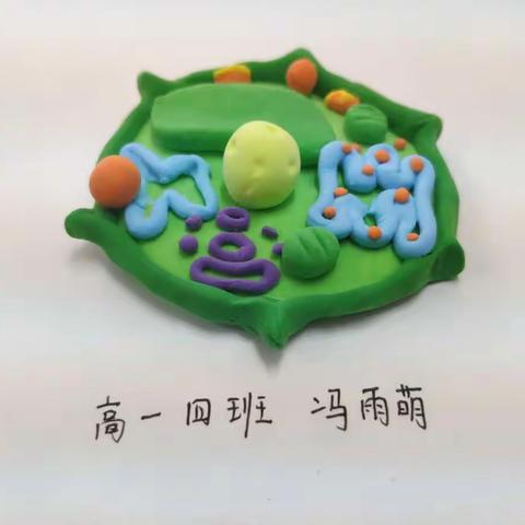 【咸阳市高新一中-高中部】灵动思维，开放作业——生物寒假创新作业展