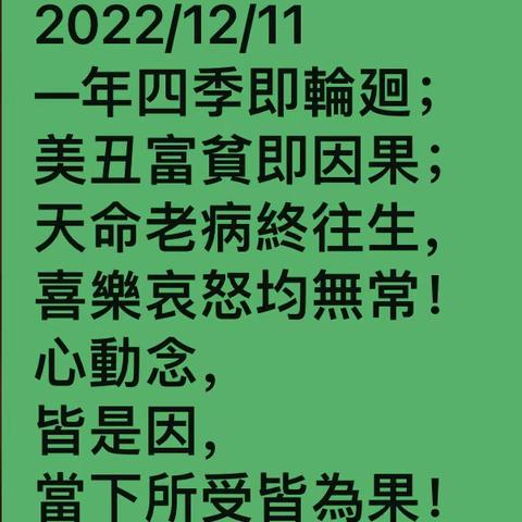 鷓鴣天-樂樂呵呵