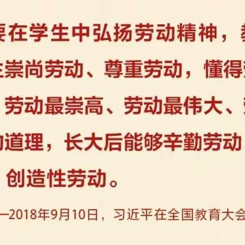 生活即教育  劳动促成长——阿尔山市第一小学二年一班劳动教育实践活动