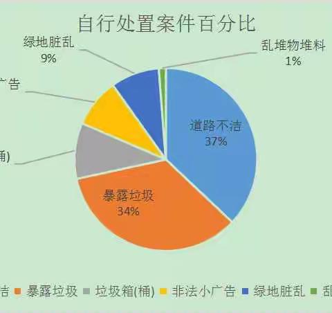 北京数字政通南安项目