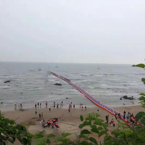 大地色彩（副本）（副本）