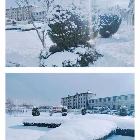 大雪纷飞满校园，师生扫雪暖人心