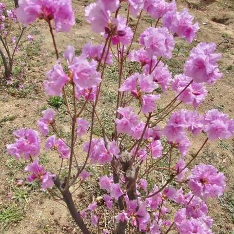 春暖花开时