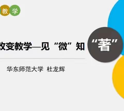 《技术改变教学——见“微”知“著”》专题讲座          华东师范大学      杜龙辉老师