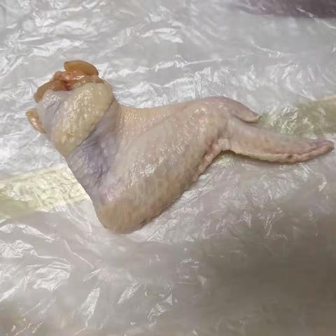 144康颢嘉生物实践作业——鸡翅解剖