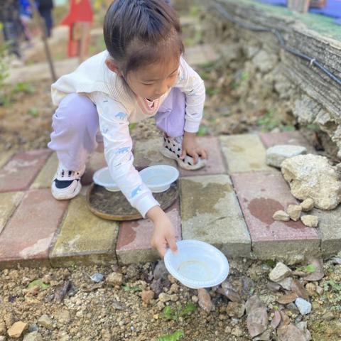 大一班一周🌸周记——野趣区