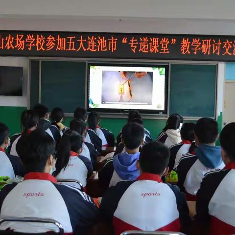 专递课堂展风采   互助成长促提升