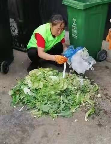 等驾坡街道鑫龙天然居垃圾分类日报