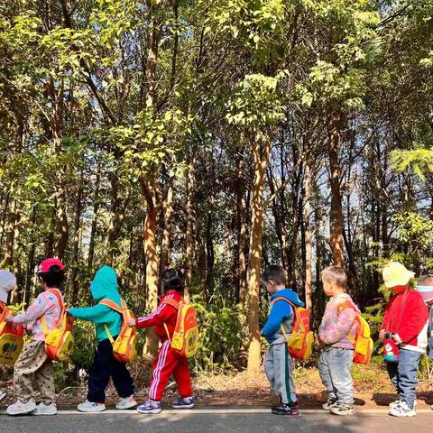 邂逅秋天 快乐“童”行——老庄幼儿园秋游篇
