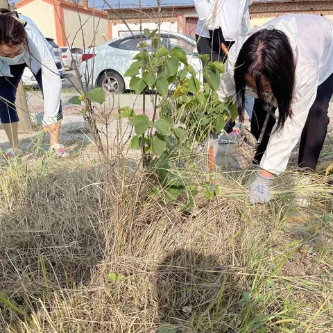 托县民族幼儿园“除蒿草，我们在行动”志愿服务活动